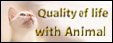 Quality of life with Animal